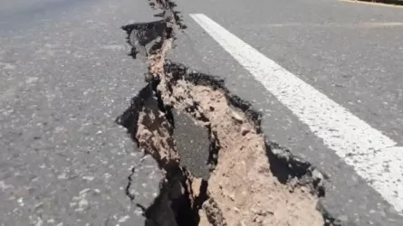 Землетрясение из Узбекистана дошло до Тараза и Шымкента