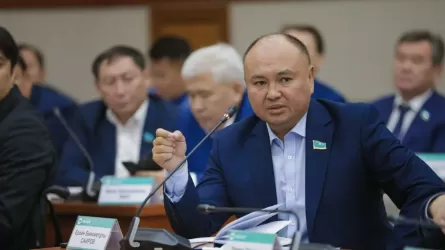 3,5 млн халықтың келесі жылы газет оқуға шамасы жетпей қалады – Мәжіліс депутаты