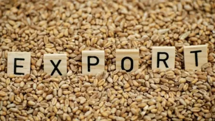 Қазақстан соңғы үш айда Өзбекстанға 1,7 млн тонна астық экспорттады