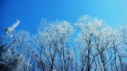 Метель и гололед накроют регионы Казахстана