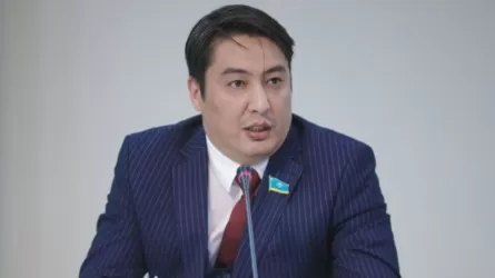 Көпшіліктің арын таптайтын блогерлерге әкімшілік емес, қылмыстық жаза керек &ndash; депутат