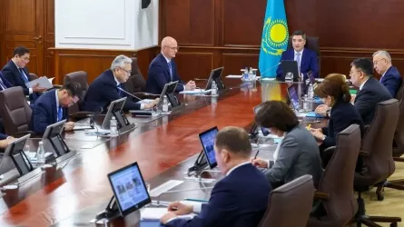 Үкімет басшысы бидай мен жүгеріні терең өңдеуді тапсырды