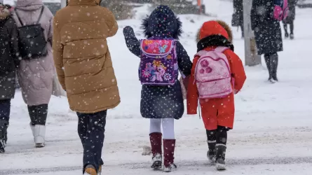  Аязға байланысты екі өңірдің оқушылары қашықтан оқиды