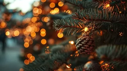 В ООН призывают сократить отходы в Новый год  