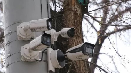 &laquo;Сергек&raquo; камералары Алматы қазынасына 94 миллиард теңге пайда әкелген