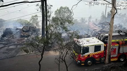 Тысячи жителей Сиднея и Нового Южного Уэльса эвакуируют из-за лесных пожаров