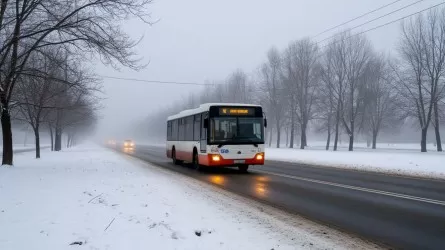 В регионах Казахстана сохраняются туман, местами – метель