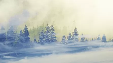 Казахстан ждут снегопады и сильные морозы