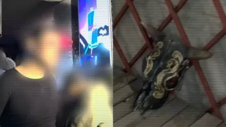 ОПМ “STOP-трафик”: выявлены тяжкие преступления, связанные с торговлей людьми 