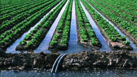 В бассейне Сырдарьи пересматривают режимы орошения 