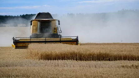 Биылғы астық жарияланғаннан аз болып шықты