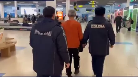 Казахстанские правоохранители вернули беглого экономического преступника 