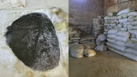 2 тонны насвая изъяла полиция в подпольном цеху Туркестанской области