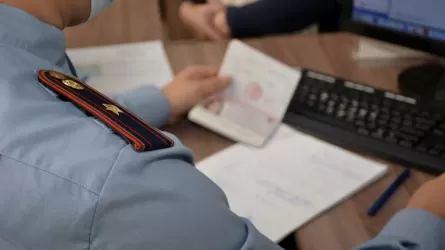  Астанада көші-қон заңнамасын бұзған шетелдік ел аумағынан шығарылды