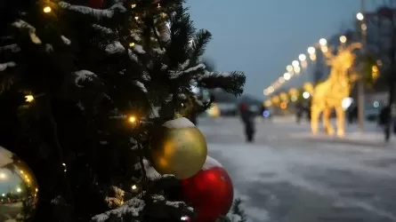 Жаңа жыл күні Қазақстанда жаңбыр жауып, күн 15 градусқа дейін жылынады