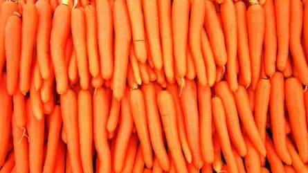 Вывоз этого овоща из Казахстана предлагают запретить 