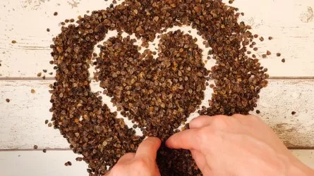 Гречка по 500 тенге: комитет торговли проверил цены в Астане 