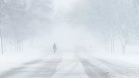 Батыс Қазақстанда боранда жоғалып кеткен 3 адамның денесі табылды