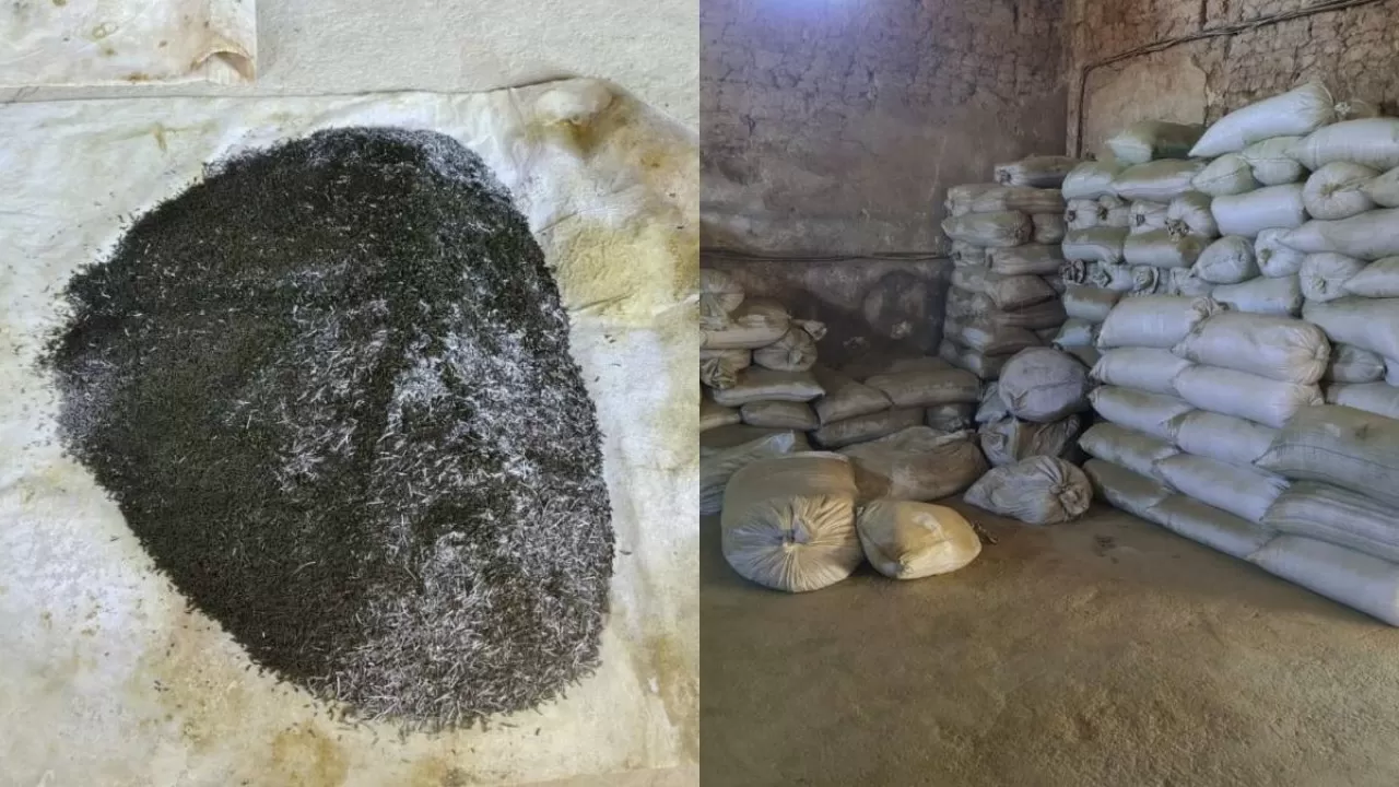 2 тонны насвая изъяла полиция в подпольном цеху Туркестанской области