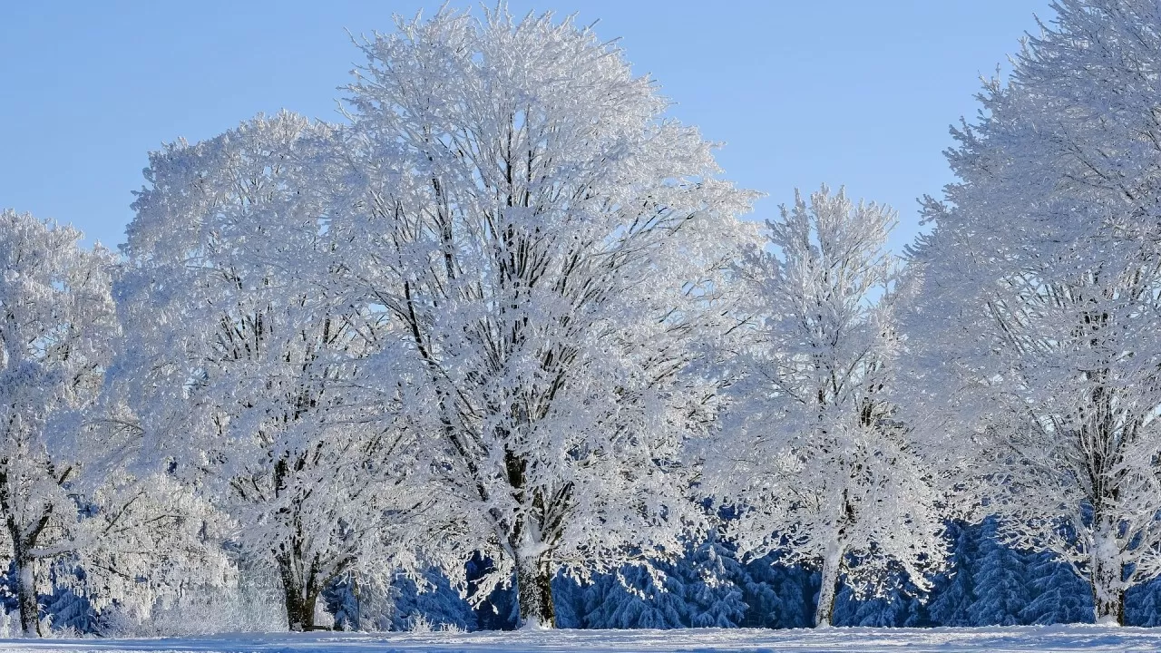 В Казахстане ожидаются снег, метели и резкое похолодание