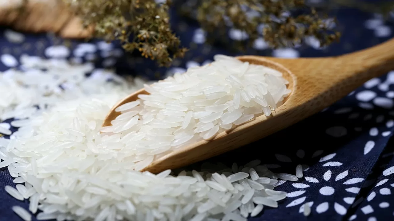 Лимиты на рис в Туркестане: что изменится в 2026 году