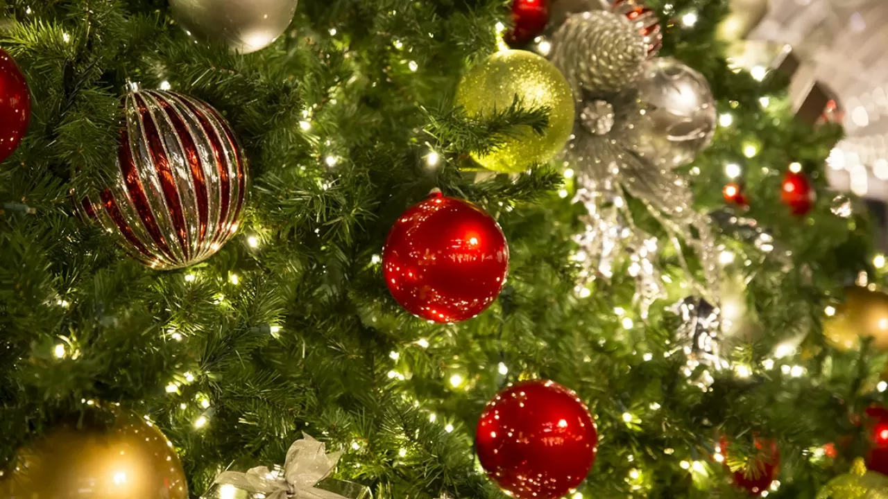 Шырша сатып аламын деп қомақты қаржысынан айырылды