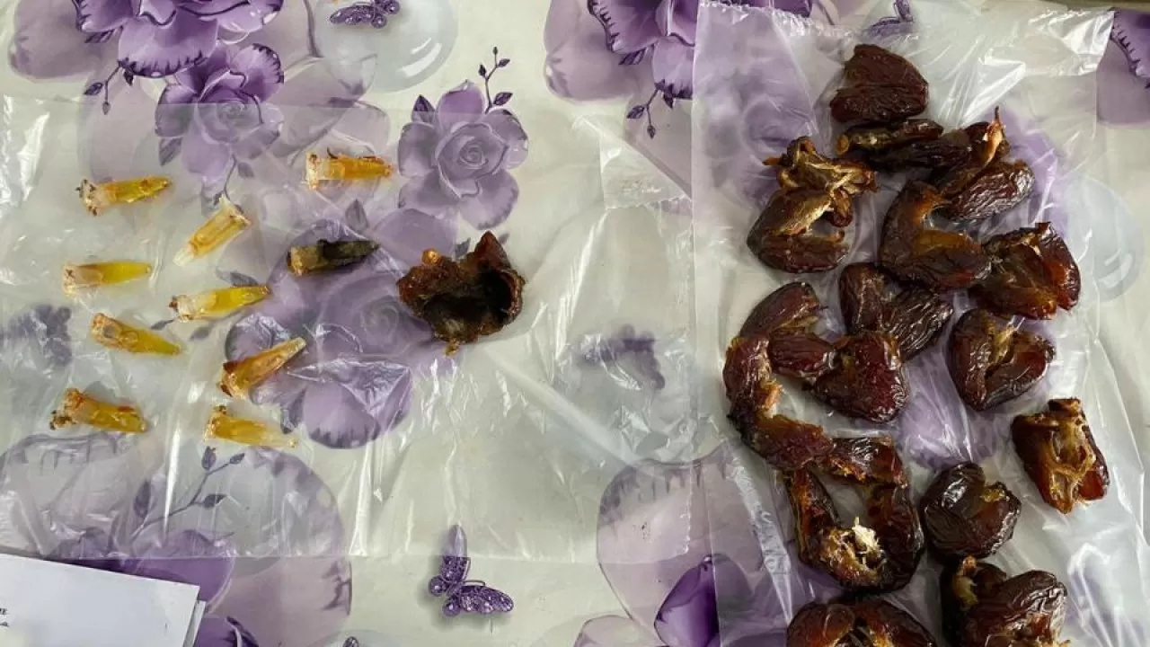 Масло гашиша и телефоны пытались пронести в колонию 