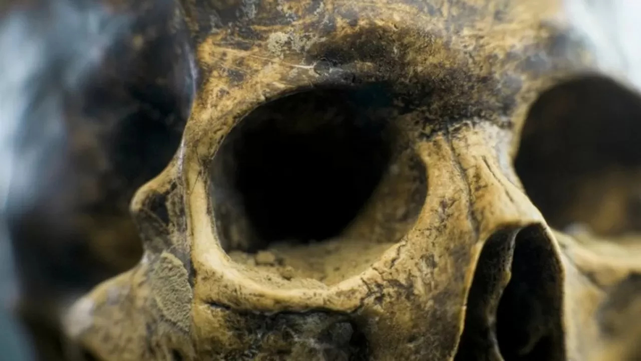 Стала известна причина вымирания загадочных жителей Индонезии 