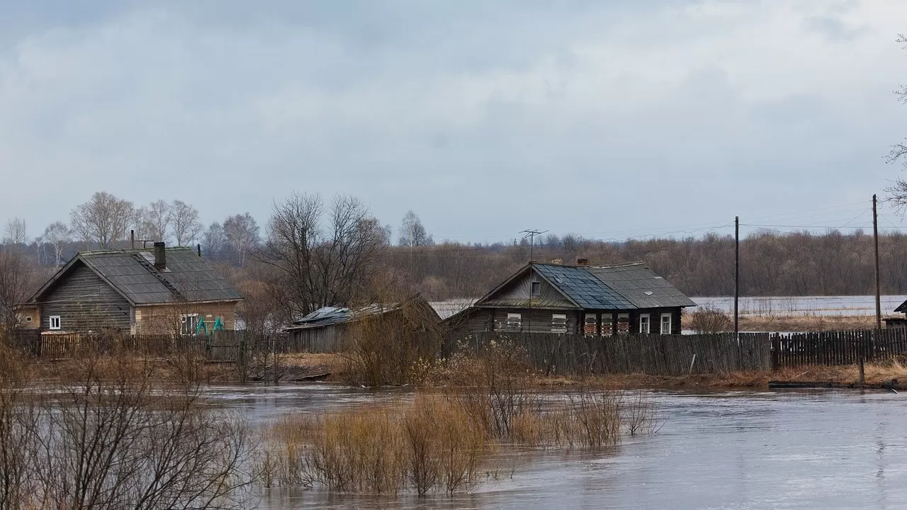 Петропавлдағы Заречный кенті тұрғындары көшіріледі