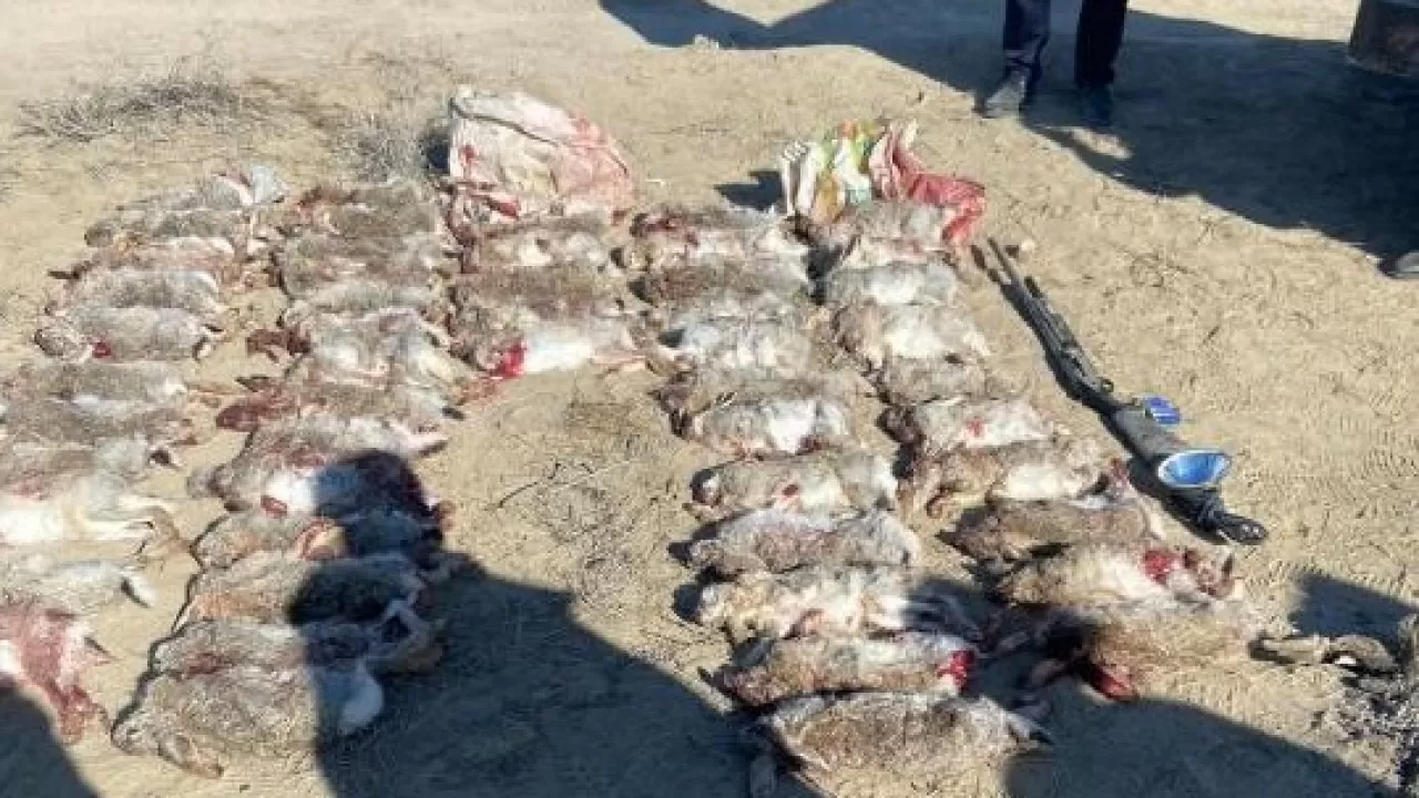 Браконьера с крупной партией дичи задержали в Кызылординской области 
