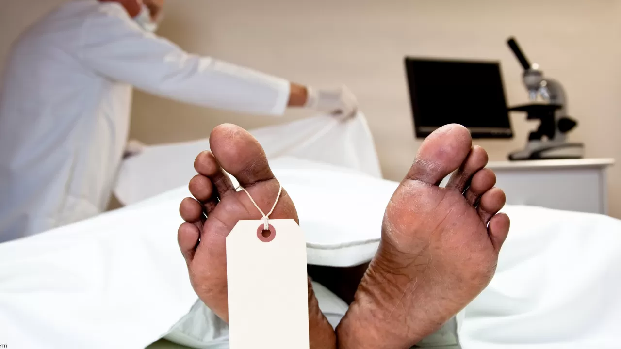Елімізде мәйітті соймай сараптама жасауға мүмкіндік беретін технология пайда болады