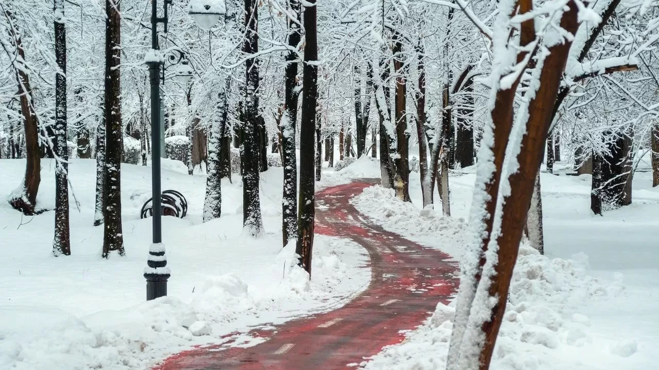 Бүгін еліміздің басым бөлігінде қар жауады