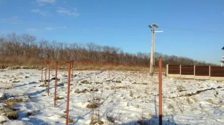 Изъятые в Акмолинской области пашни и пастбища ждут новых хозяев 