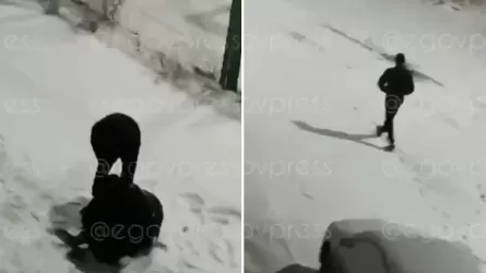 Талдықорғанда көшедегі адамды аяусыз ұрып-соққан 17 жастағы жасөспірім ұсталды