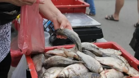 Елімізде балық пен теңіз өнімдерінің бағасы қымбаттады