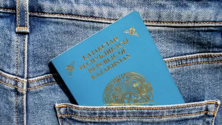 Жыл басынан бері 1 мыңнан астам этникалық қазақ қандас мәртебесін алды
