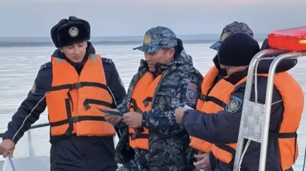 Шардарада 80 келіден астам заңсыз ауланған балық тәркіленді