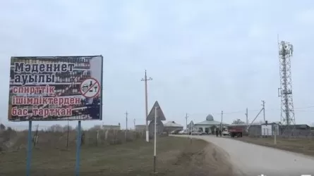 Почти в 30 селах Казахстана прекратились преступления после запрета алкоголя 