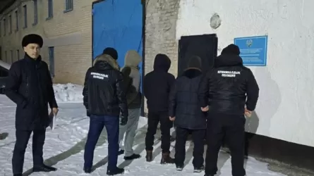 Қостанай облысында 25 млн теңгенің малын ұрлаған күдіктілер қолға түсті
