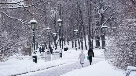 Алдағы күндері елдің басым бөлігінде тұрақсыз ауа райы сақталады