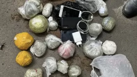Ұлттық ұлан қызметкерлері түзеу мекемелеріне 140 ұялы телефонды өткізу әрекеттерін тоқтатты