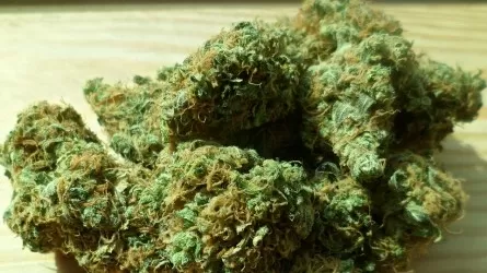 В Астане задержали наркодилеров с крупной партией марихуаны  