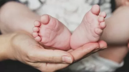 Биыл бала туу мен бала күтіміне байланысты қанша жәрдемақы төленді