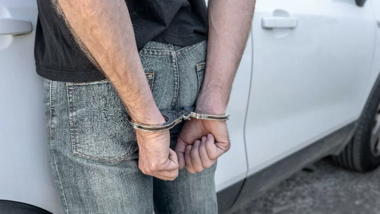 Полиция Казахстана для стран СНГ и дальнего зарубежья задержала 85 преступников