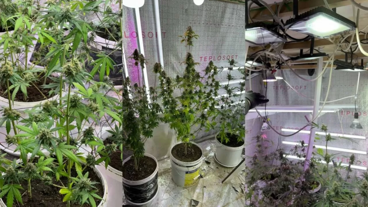 Ақтауда жасырын есірткі зертханасы әшкере болды