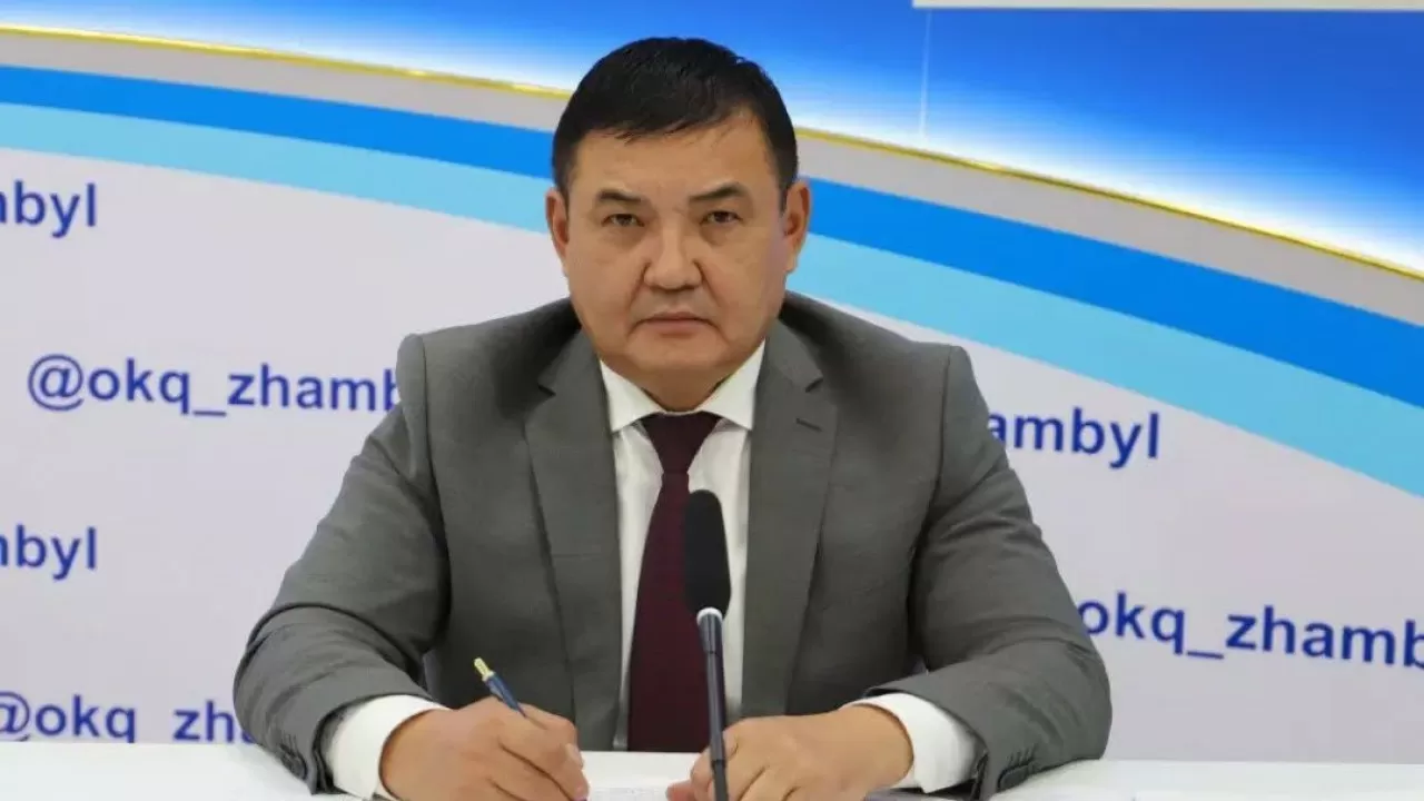 Жоғары аудиторлық палата мүшесі тағайындалды