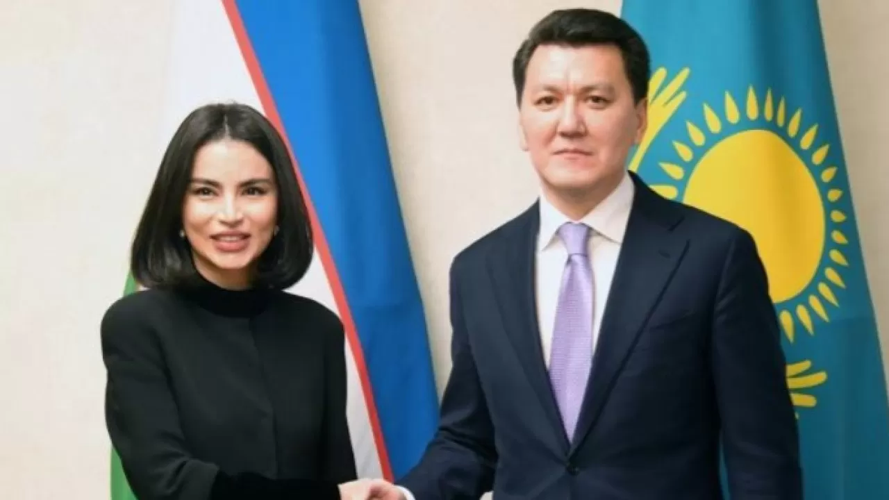 Ерлан Қарин Өзбекстан Президентінің көмекшісі Саида Мирзиёевамен кездесті