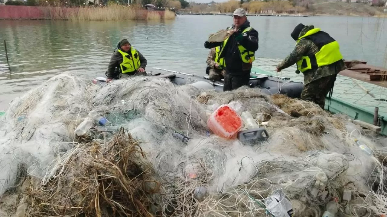 Десятки километров сетей установили браконьеры на Капшагайском водохранилище  
