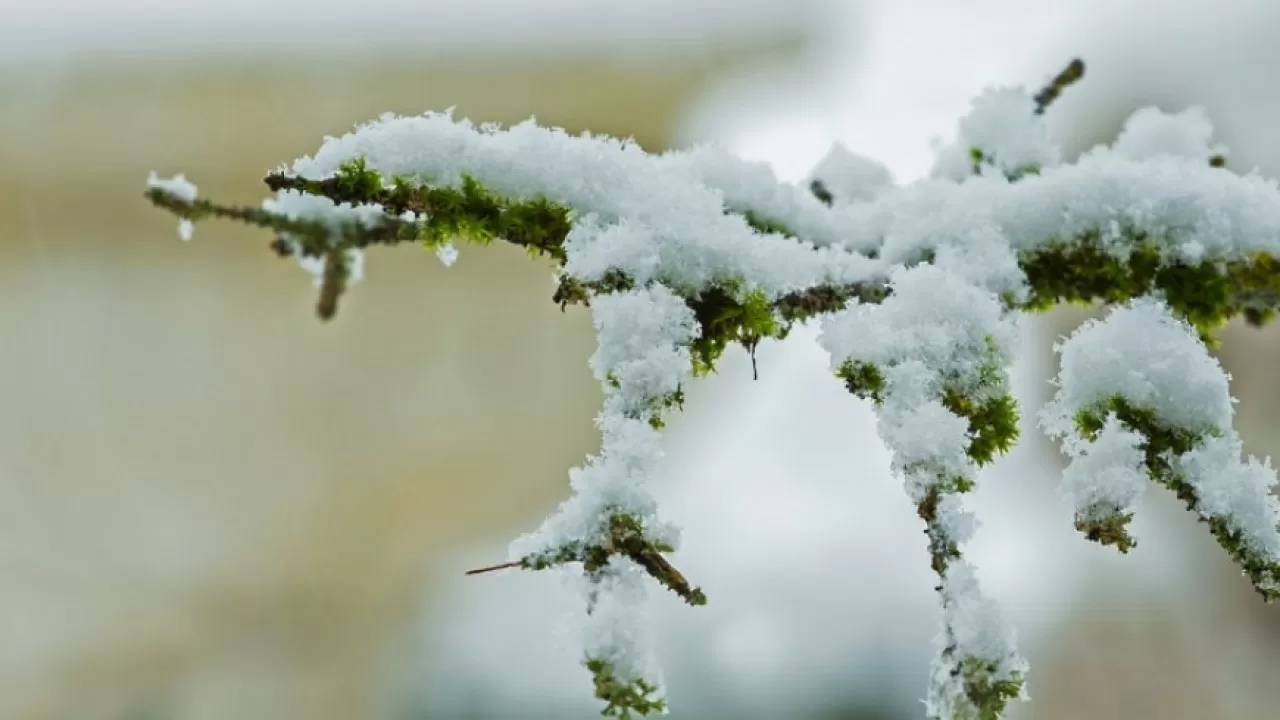 -20 градус аяз: Бірқатар өңірде дауылды ескерту жарияланды