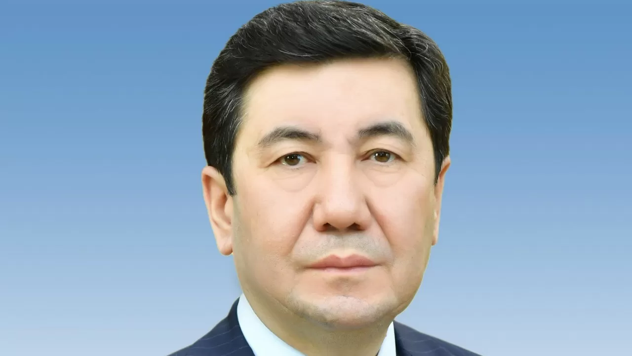 Кошанов: диктатура закона и порядка меняет страну и общество 